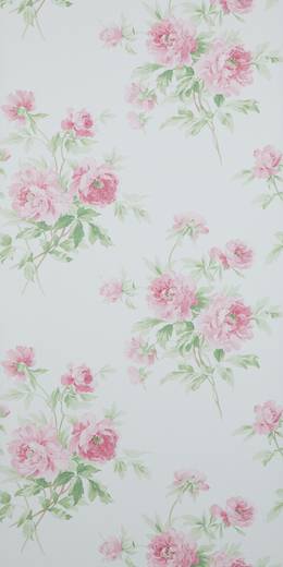 Обои Sanderson Caverley 101 DCAVAD