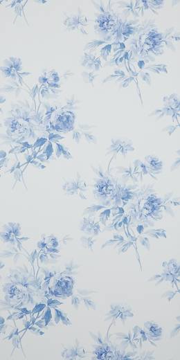 Обои Sanderson Caverley 105 DCAVAD