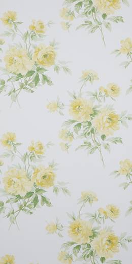 Обои Sanderson Caverley 102 DCAVAD